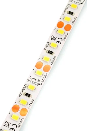 STRIP LED BASIC 12V 6000K 120L/M 9,6 ROTOLO DA 5METRI Offerta Limitata