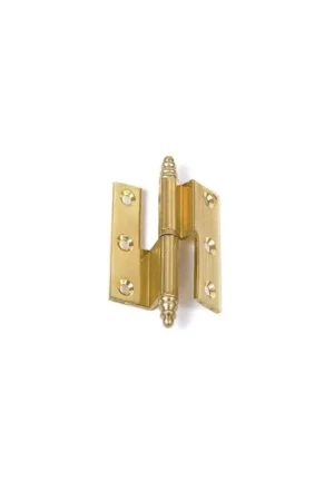 Di Tendenza CERNIERA A LIBRO 50X40 SINISTRA IN OTTONE ALI ZANCATE ORO
