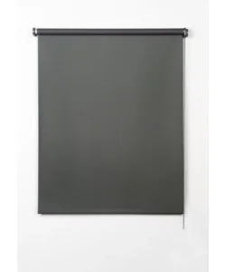 Tenda a rullo roll-uposcurante grigio grafito, 60x180 cm Ordina Subito