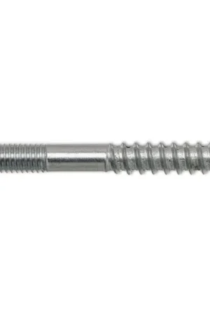 Vite a doppio filetto6x 80 Torx zincato con impronta per chiave Promozione