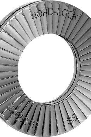 Ultimissimo Modello NORD-LOCK Rondelle fissaggio a cunei NL 6spss inox A2, secondo DIN25201