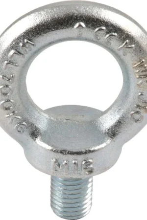 Acquista Ora DIN 580 M 6 zincato Golfare maschio con marchio CE