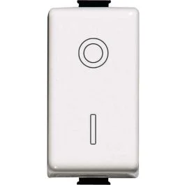 Bticino Interruttore 2p 16a matix Di Tendenza