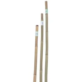 Verdemax Tutore in bamboo serie pesante, Ø 22/24 mm, h.180 cm Offerta Lampo