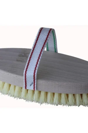 AusoniaSpazzola per cotto sinteticaEAN: 8009388570565 Solo Oggi