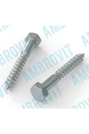 Acquista Ora AmbrovitTIRAFONDO DIN 571 4.8 - UNI 704 SW 17 MM 10X100 Cf 50 pzEAN: 8032975146331