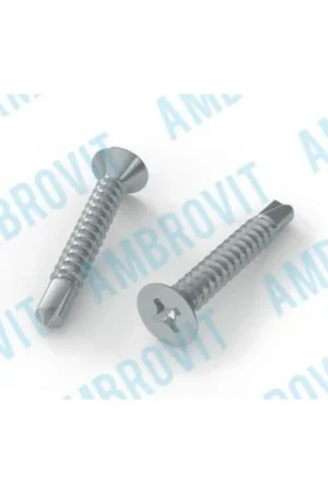 A Buon Prezzo AmbrovitDIN 7504P - UNI 8119 VITE AUTOPERFORANTE TSP PH PH 2 MM 4,2X16 Cf 1000 pzEAN: 8032975171067