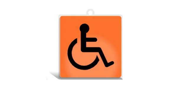 Ultima Occasione PITTOGRAMMA SECURDROP MM.100X100 DISABILI