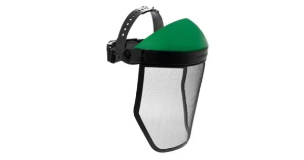 VISIERA FUSION PRO CE ART.1601-0302 A Buon Prezzo