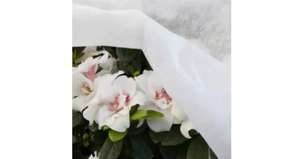 TESSUTO TNT BIANCO GR.17 MT.1,6X10 IN BUSTA ART.520/1 Acquista Ora