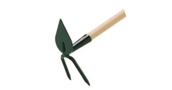 ZAPPETTA CUORE BIDENTE2010 Promozione Esclusiva