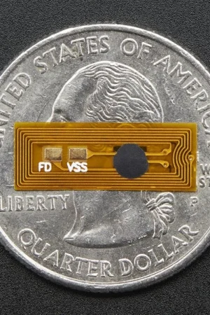 Adafruit Micro transponder NFC/RFID - NTAG213 13,56 MHz Novità