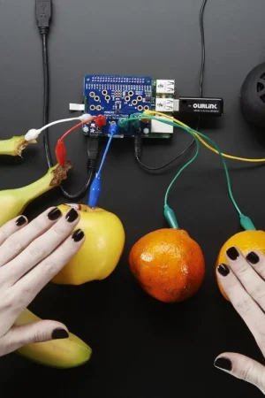 Adafruit Capacitive Touch HAT per Raspberry Pi - Mini Kit Più Venduto
