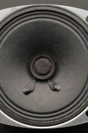 Adafruit Altoparlante - Diametro 3" - 4 Ohm 3 Watt Vendita Finale